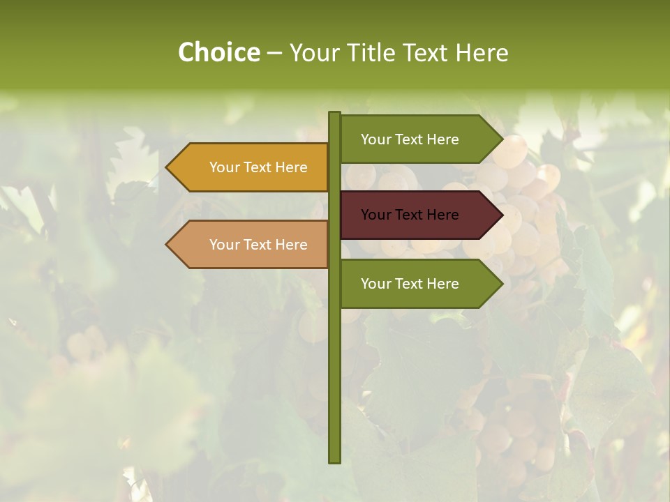 Juicy Sunny Tasty PowerPoint Template