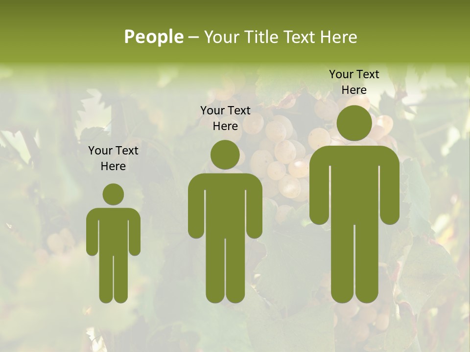 Juicy Sunny Tasty PowerPoint Template