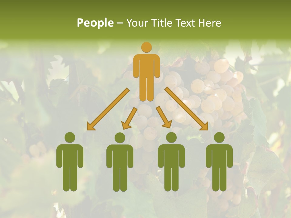 Juicy Sunny Tasty PowerPoint Template