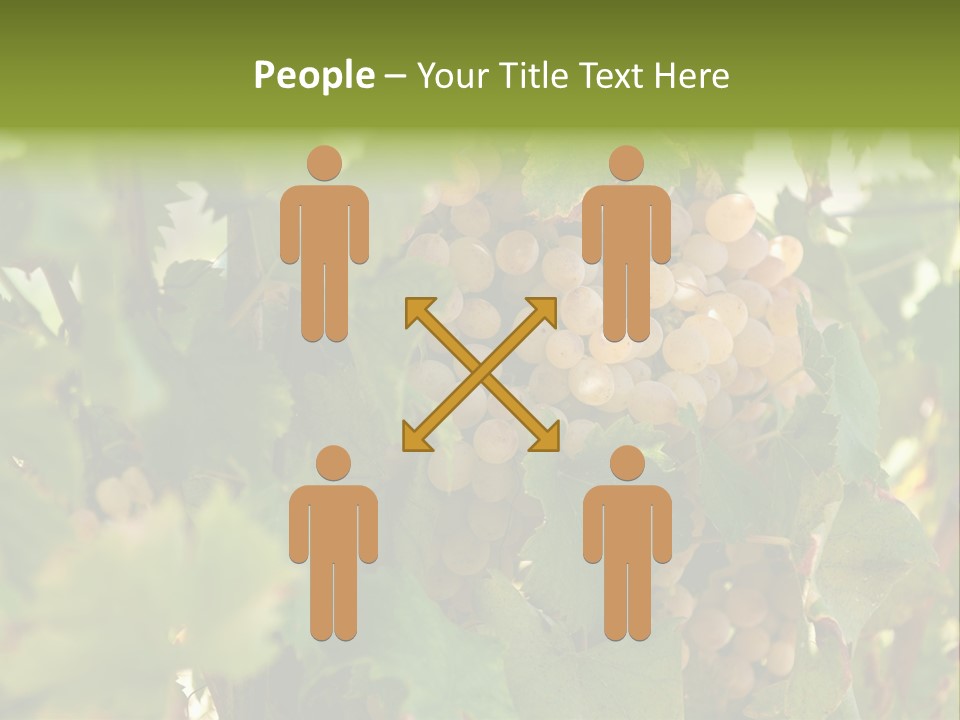 Juicy Sunny Tasty PowerPoint Template