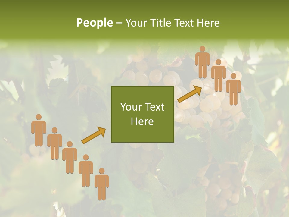 Juicy Sunny Tasty PowerPoint Template