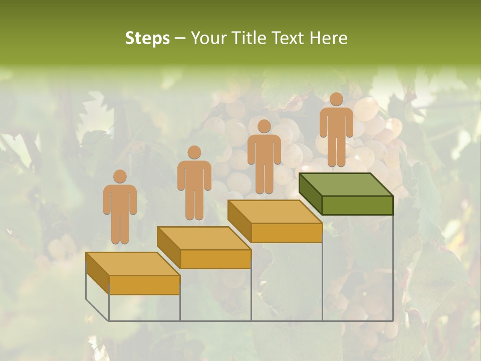 Juicy Sunny Tasty PowerPoint Template