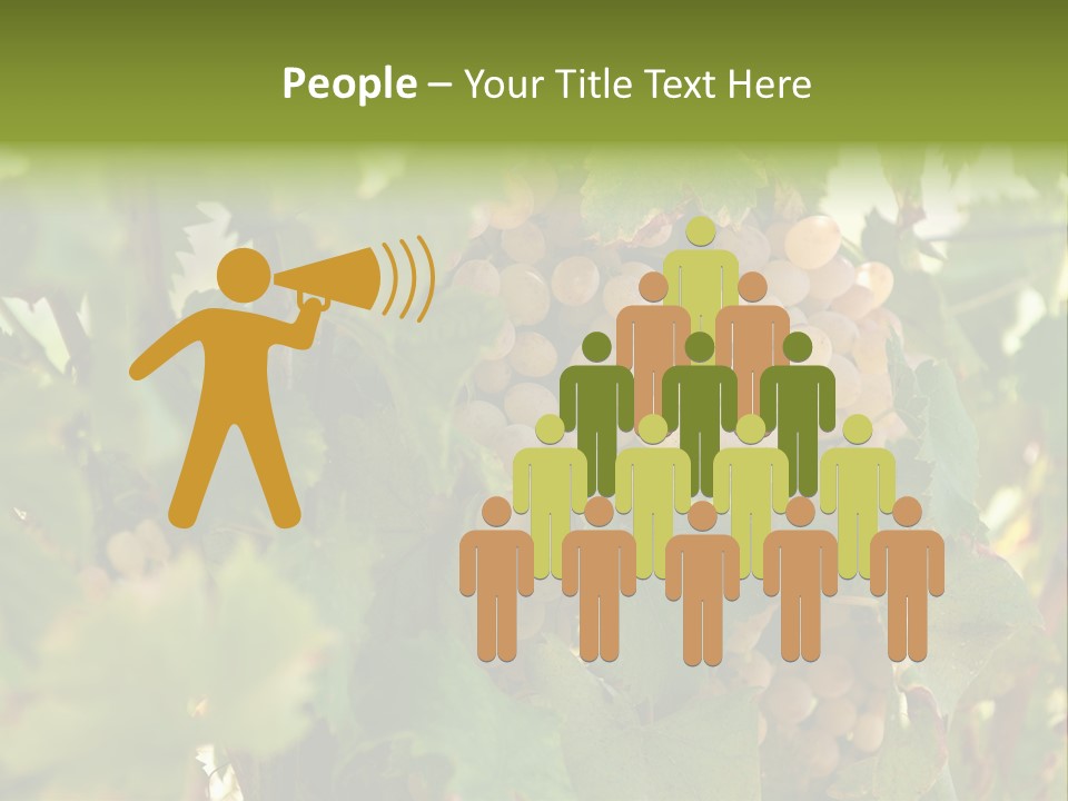 Juicy Sunny Tasty PowerPoint Template