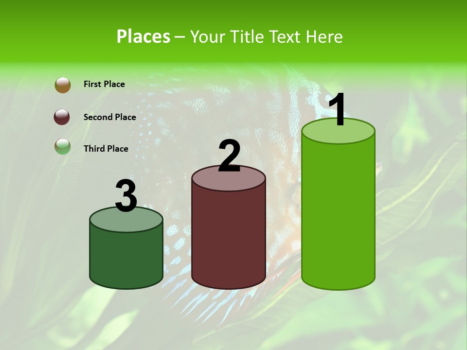 Round Tropical Nature PowerPoint Template