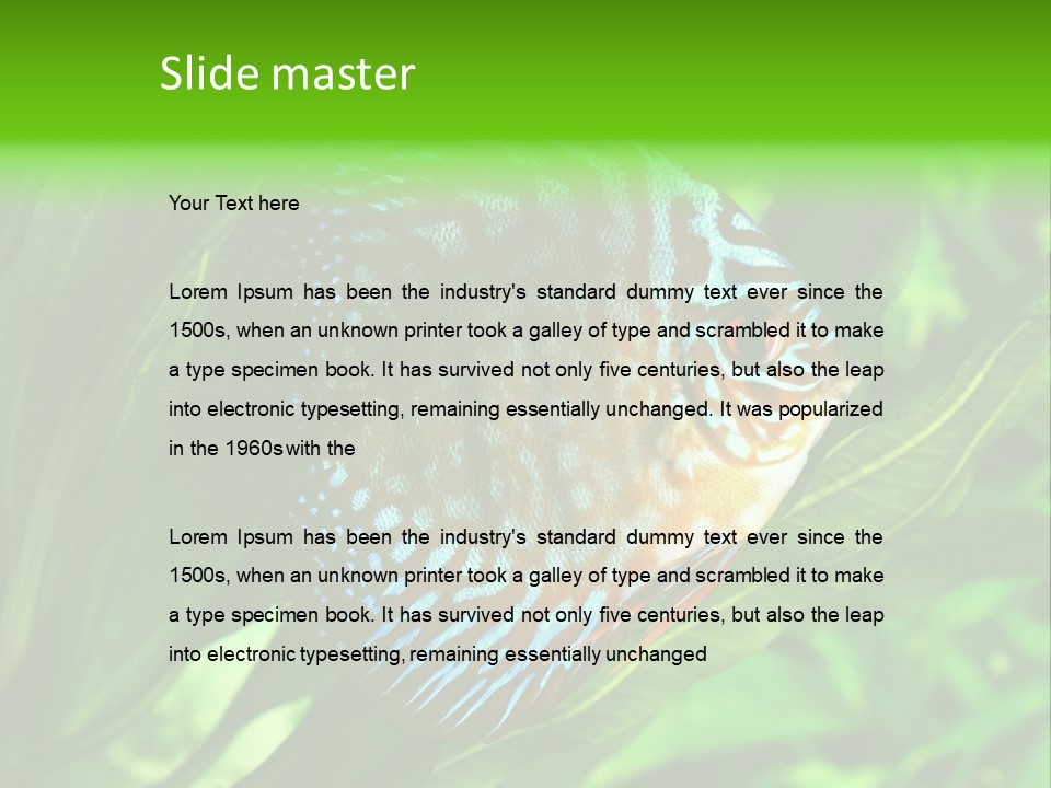Round Tropical Nature PowerPoint Template