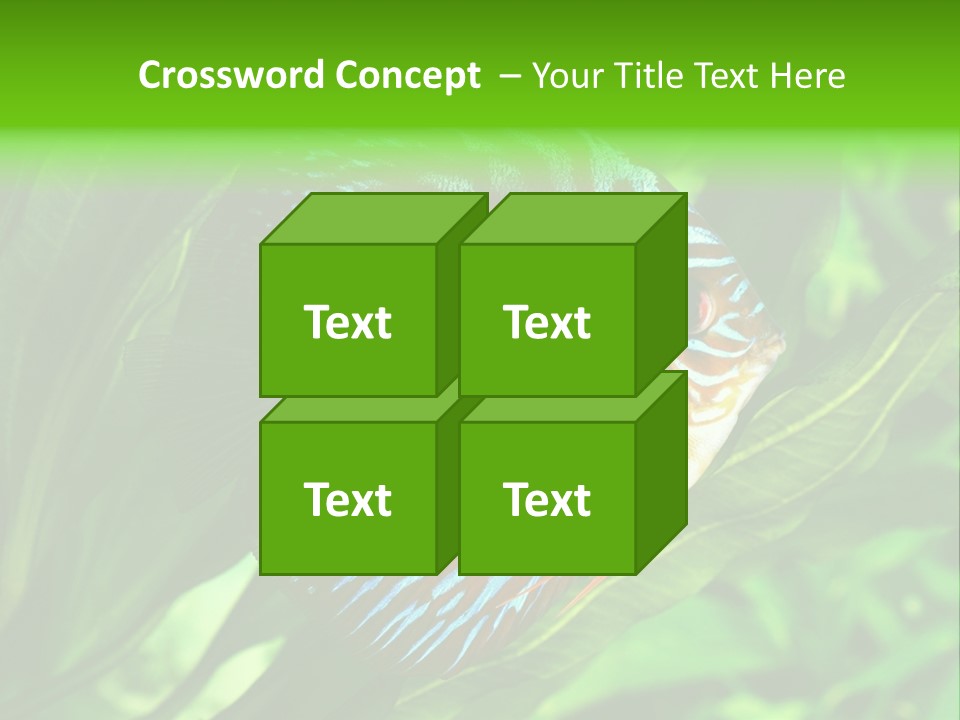Round Tropical Nature PowerPoint Template