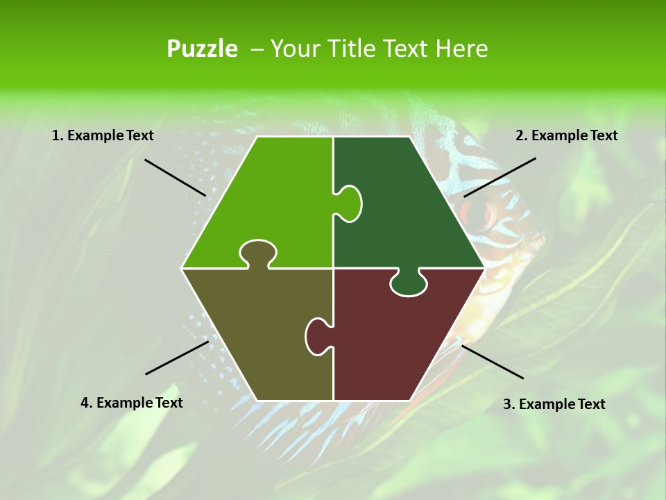 Round Tropical Nature PowerPoint Template