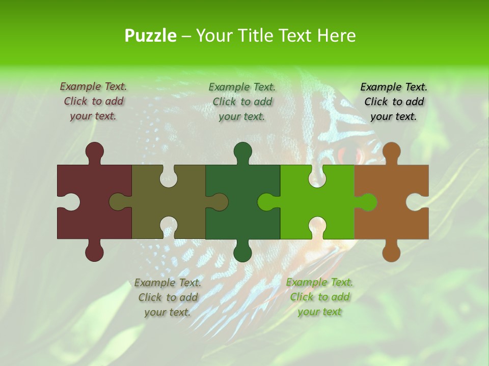 Round Tropical Nature PowerPoint Template