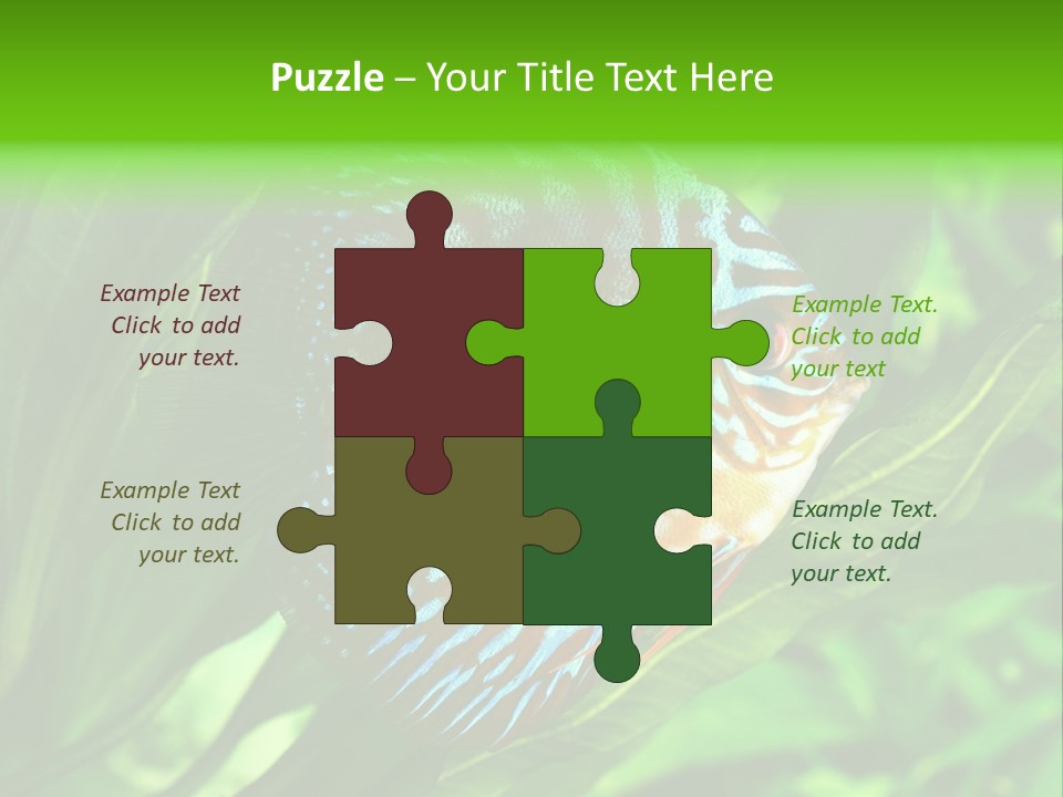 Round Tropical Nature PowerPoint Template