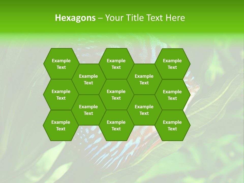 Round Tropical Nature PowerPoint Template