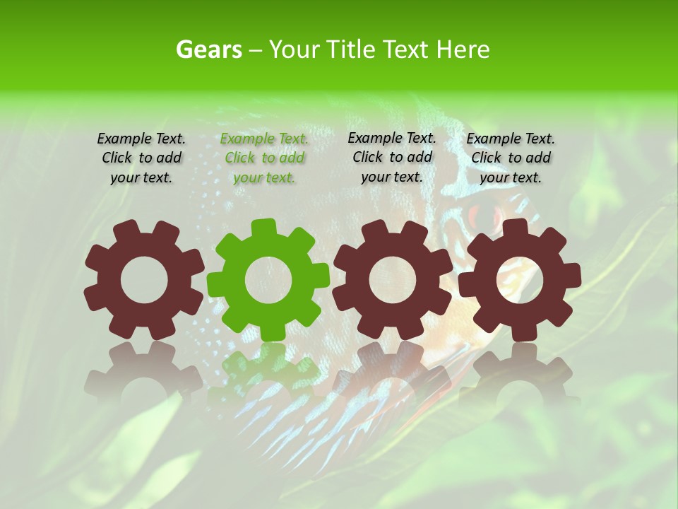 Round Tropical Nature PowerPoint Template