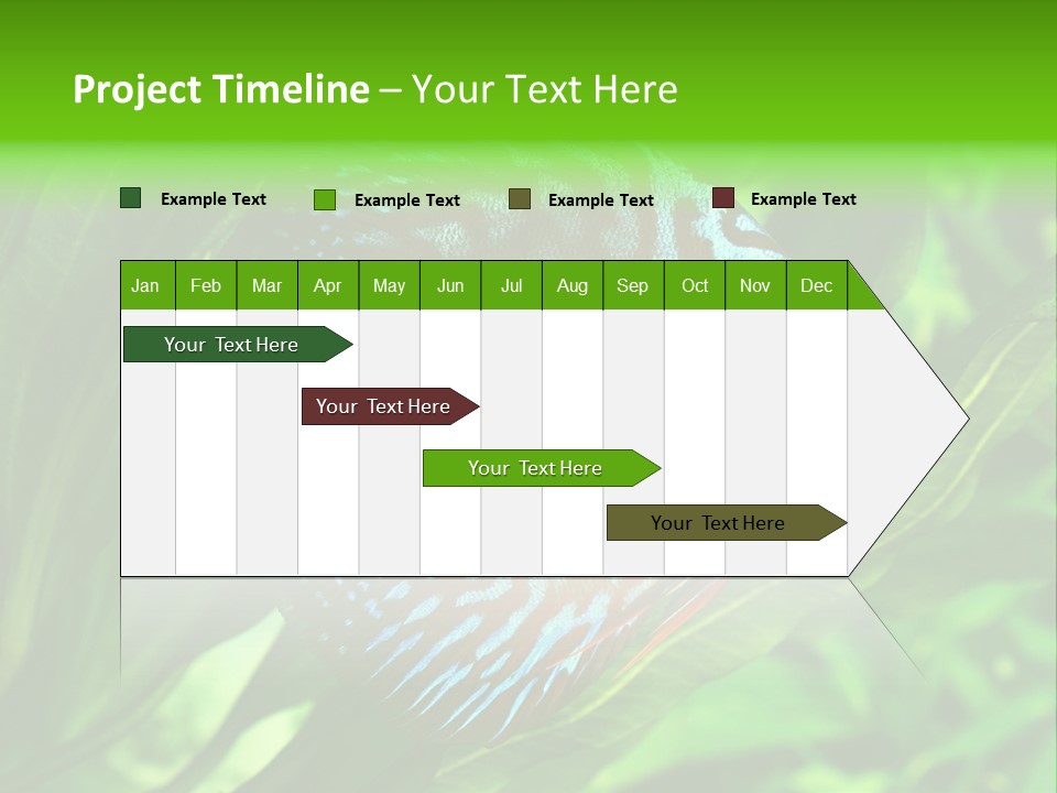 Round Tropical Nature PowerPoint Template