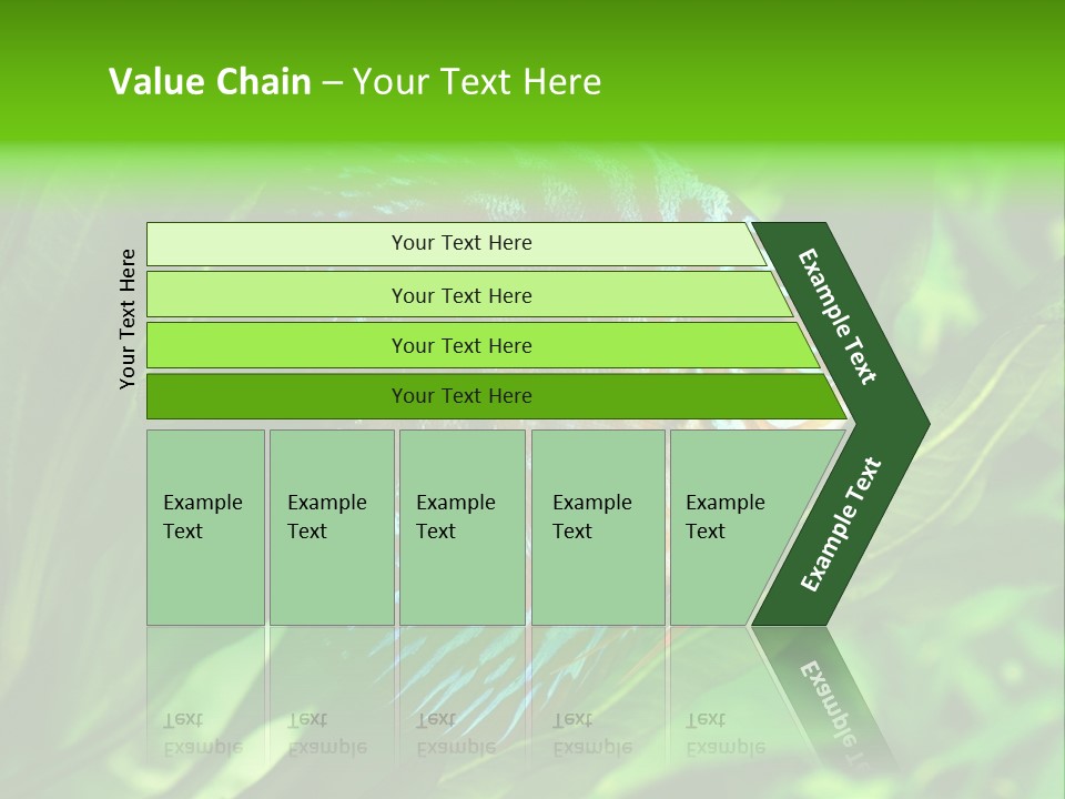 Round Tropical Nature PowerPoint Template