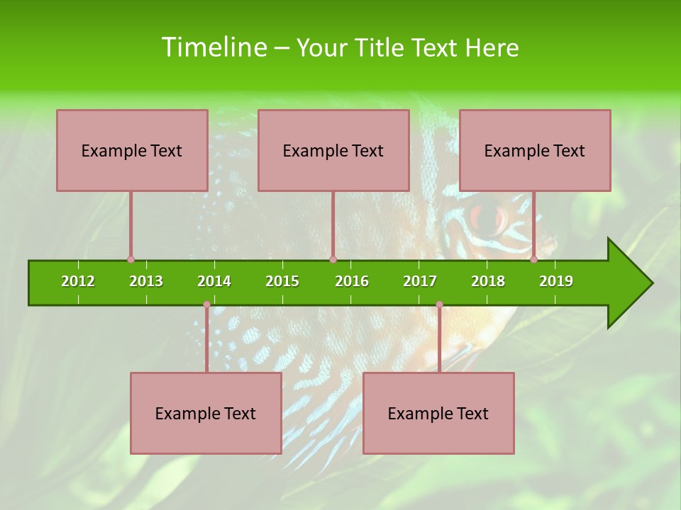 Round Tropical Nature PowerPoint Template