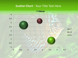 Round Tropical Nature PowerPoint Template