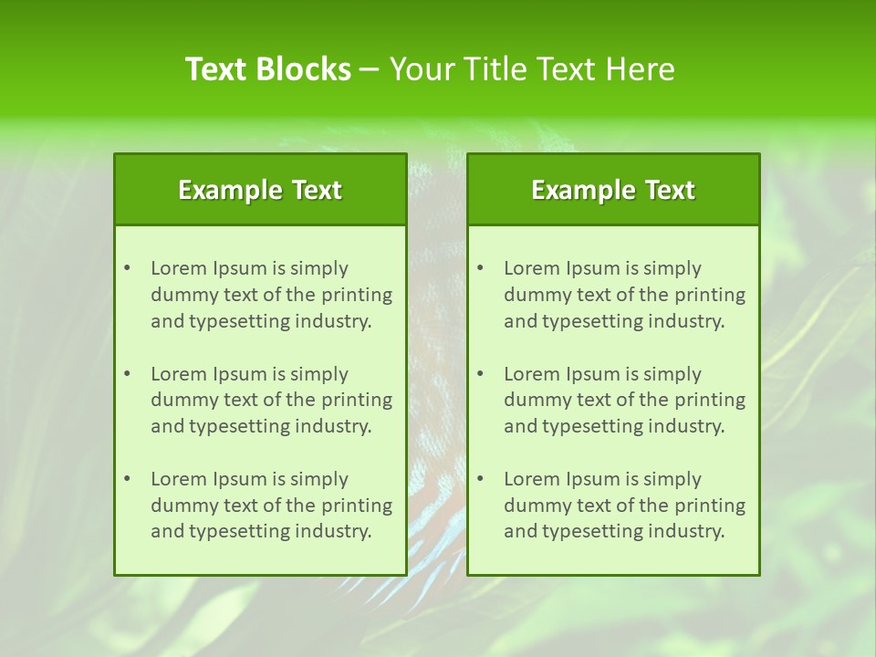 Round Tropical Nature PowerPoint Template