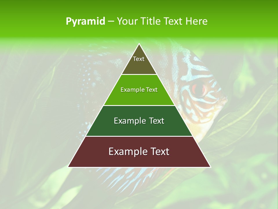 Round Tropical Nature PowerPoint Template