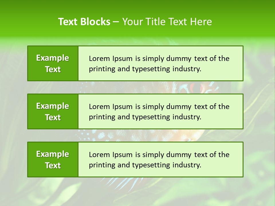 Round Tropical Nature PowerPoint Template