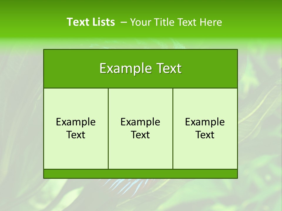 Round Tropical Nature PowerPoint Template