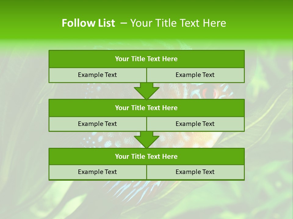 Round Tropical Nature PowerPoint Template