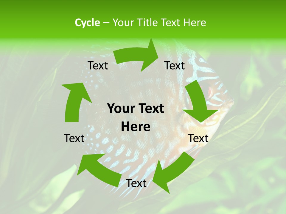 Round Tropical Nature PowerPoint Template