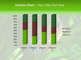 Round Tropical Nature PowerPoint Template