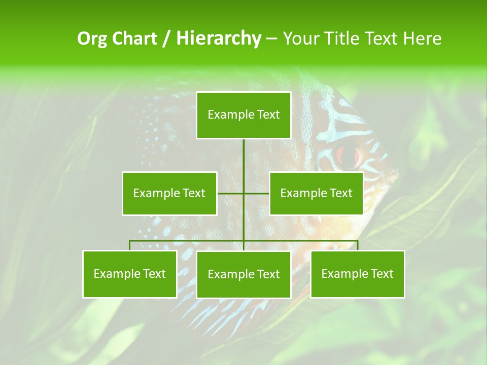Round Tropical Nature PowerPoint Template