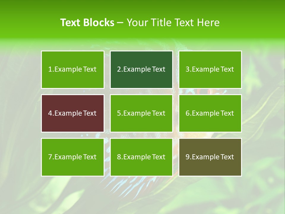 Round Tropical Nature PowerPoint Template