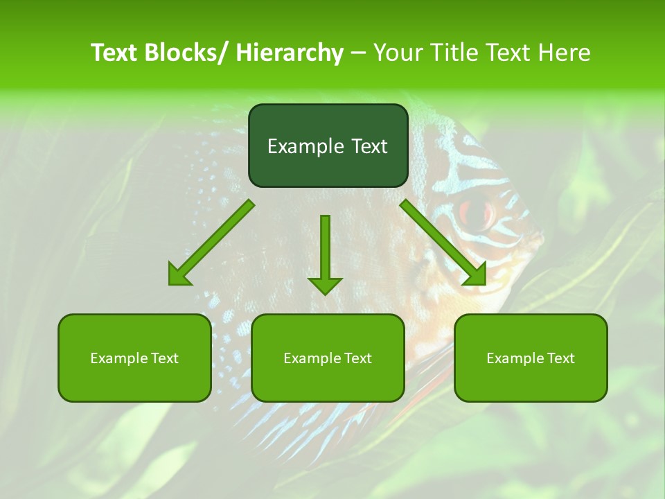 Round Tropical Nature PowerPoint Template