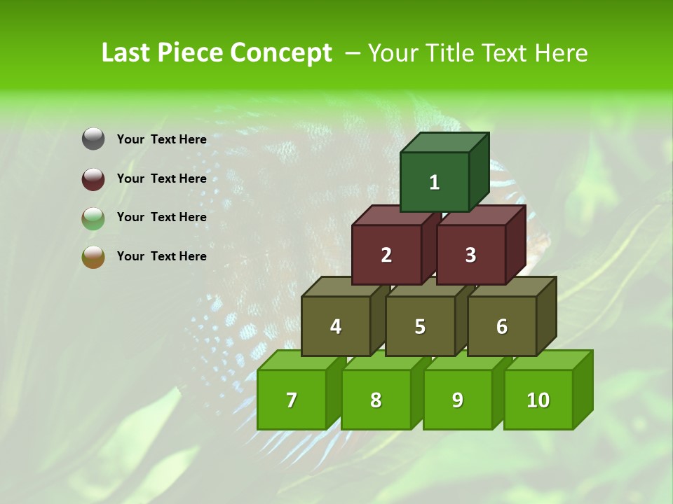 Round Tropical Nature PowerPoint Template