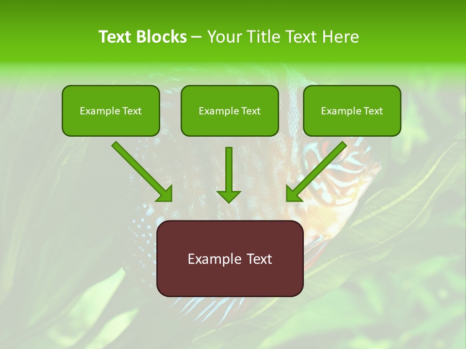 Round Tropical Nature PowerPoint Template
