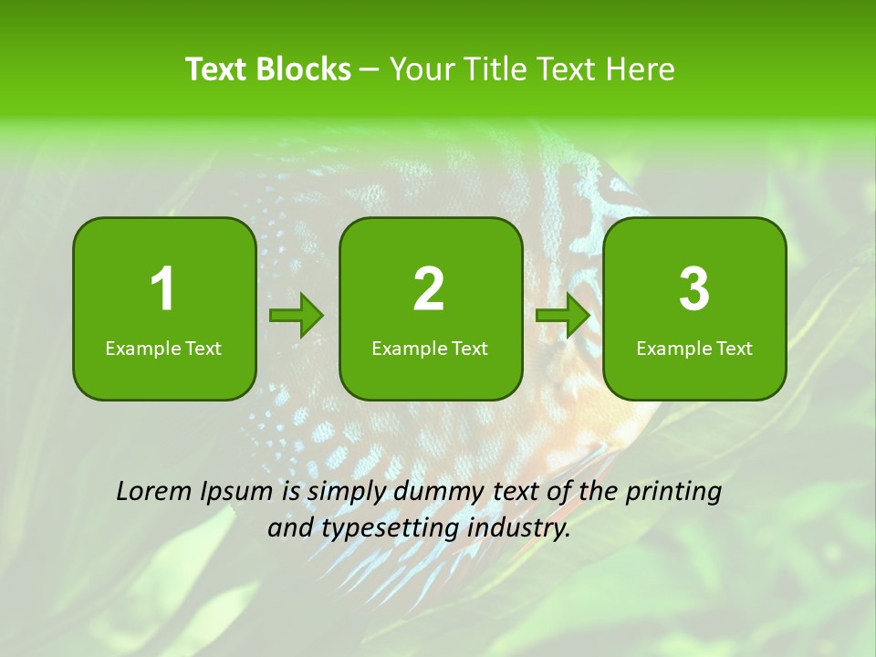 Round Tropical Nature PowerPoint Template