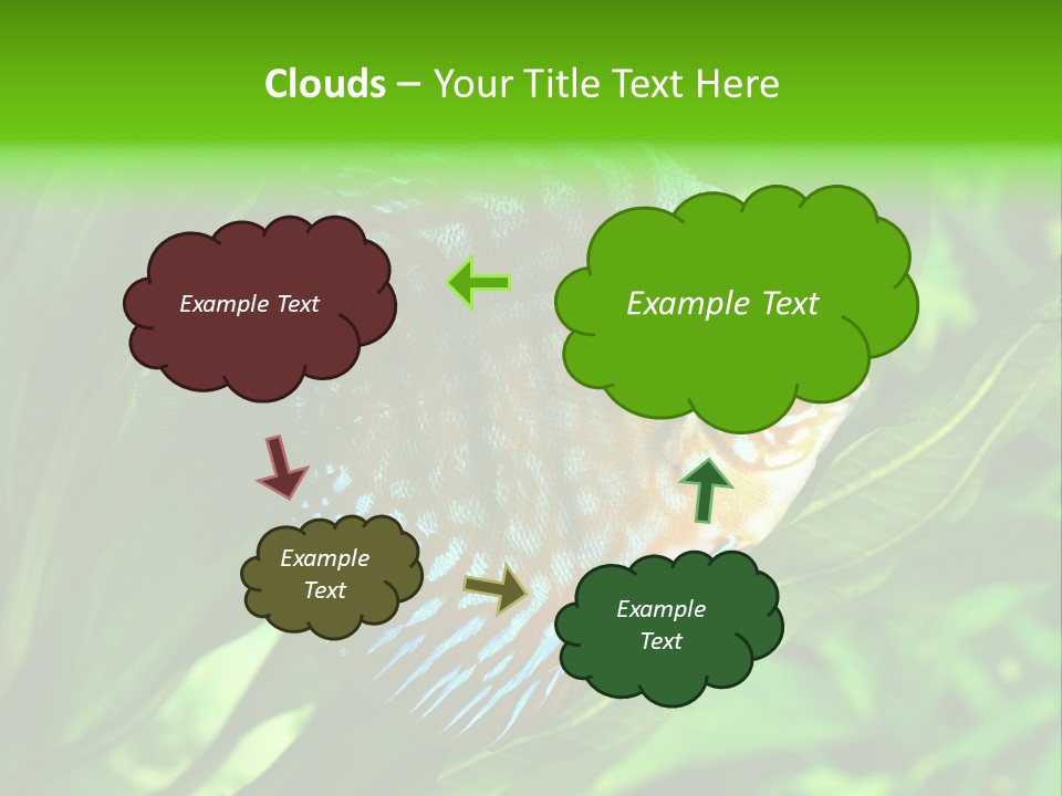 Round Tropical Nature PowerPoint Template