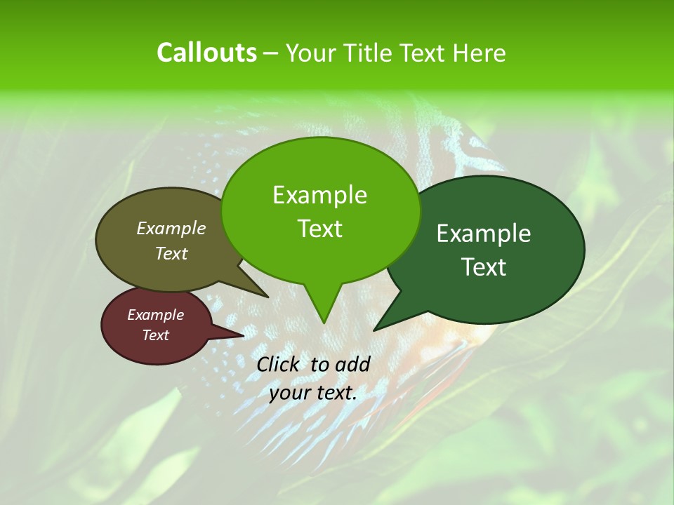Round Tropical Nature PowerPoint Template