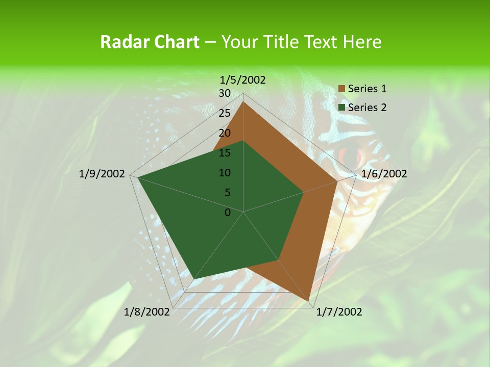 Round Tropical Nature PowerPoint Template