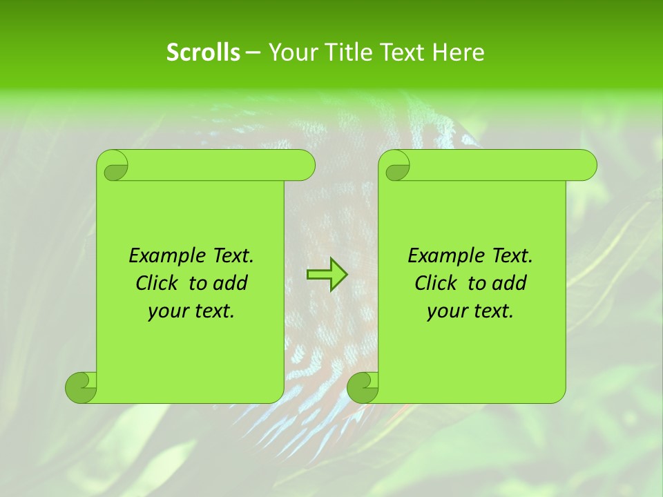 Round Tropical Nature PowerPoint Template