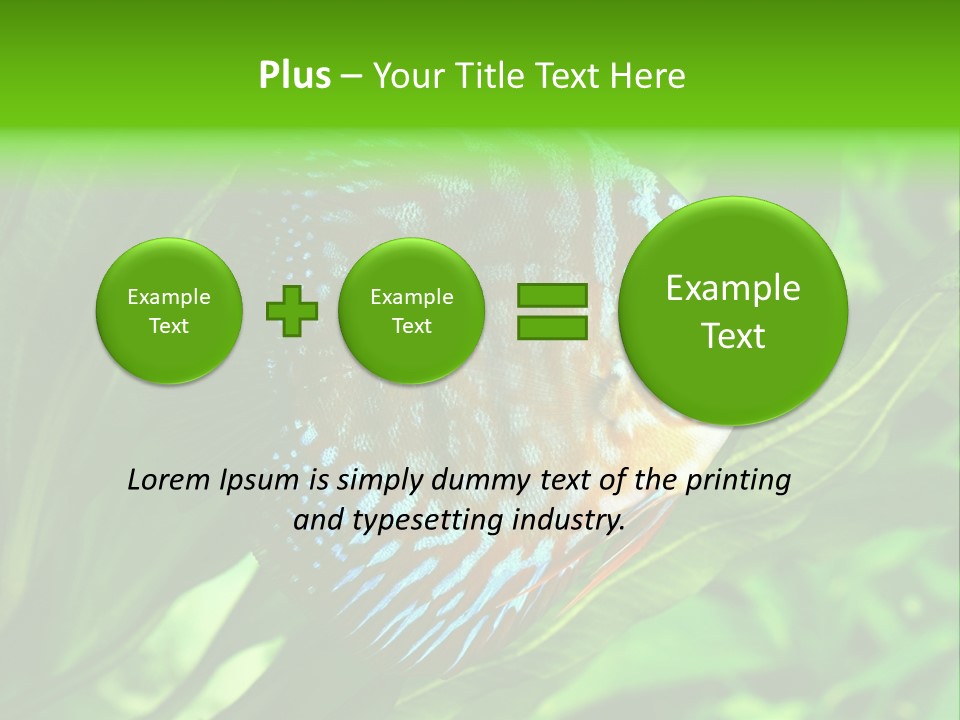 Round Tropical Nature PowerPoint Template