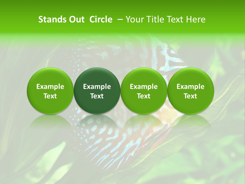 Round Tropical Nature PowerPoint Template