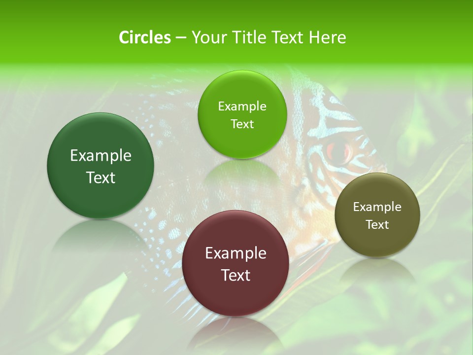 Round Tropical Nature PowerPoint Template