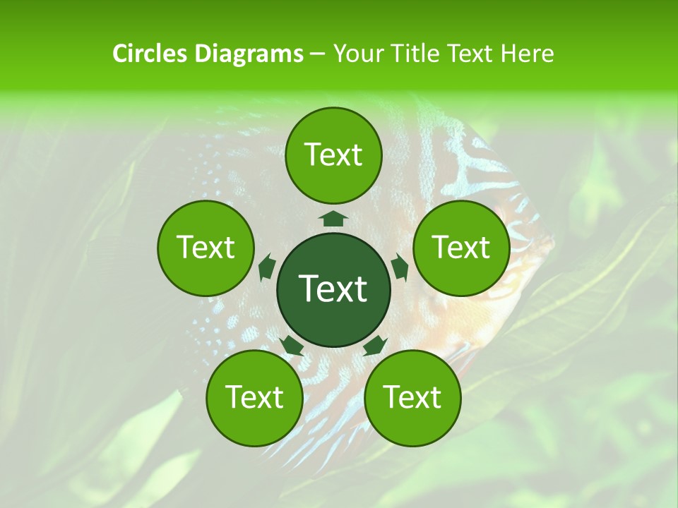 Round Tropical Nature PowerPoint Template