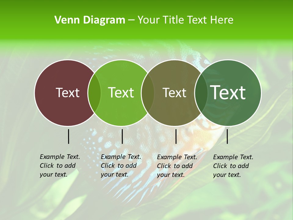 Round Tropical Nature PowerPoint Template