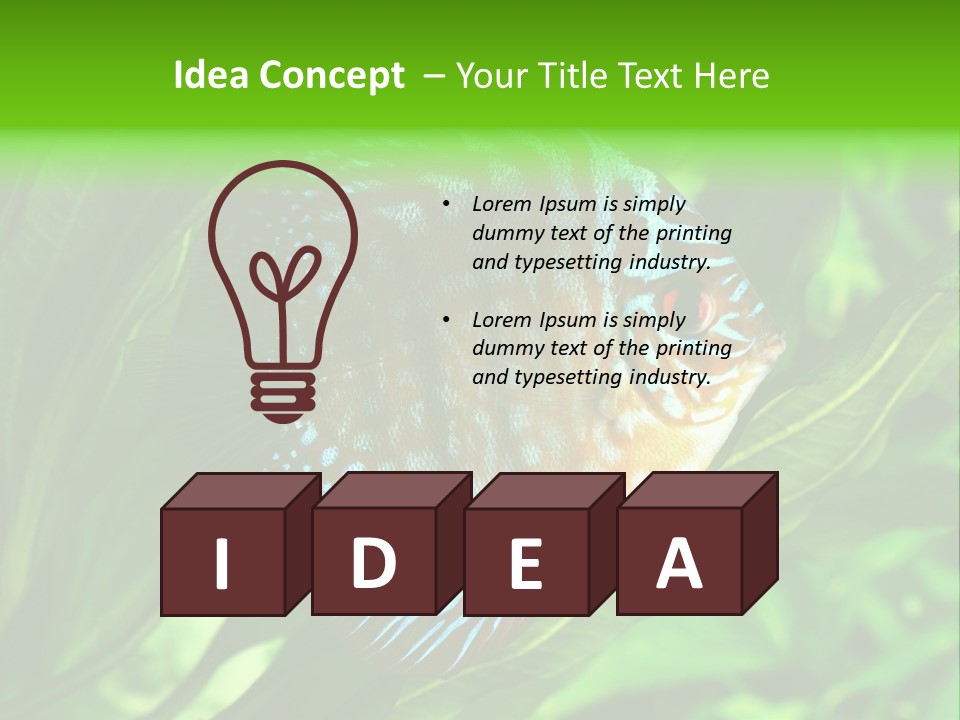 Round Tropical Nature PowerPoint Template