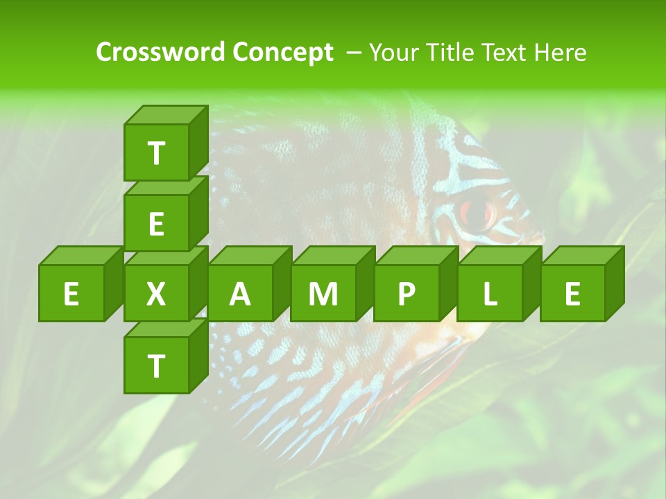 Round Tropical Nature PowerPoint Template