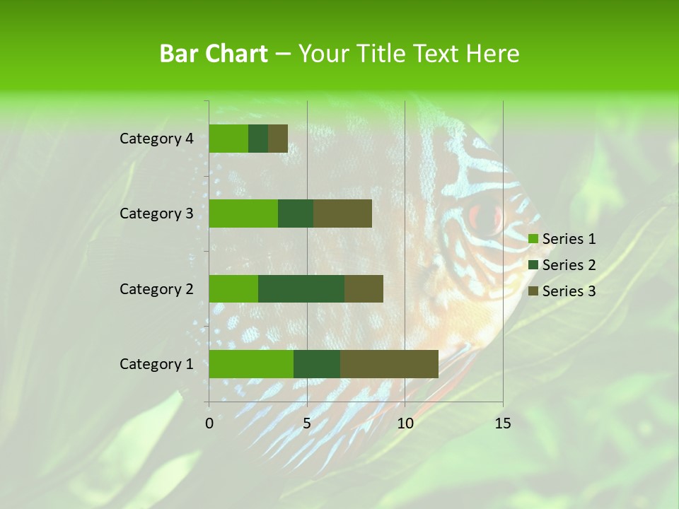 Round Tropical Nature PowerPoint Template