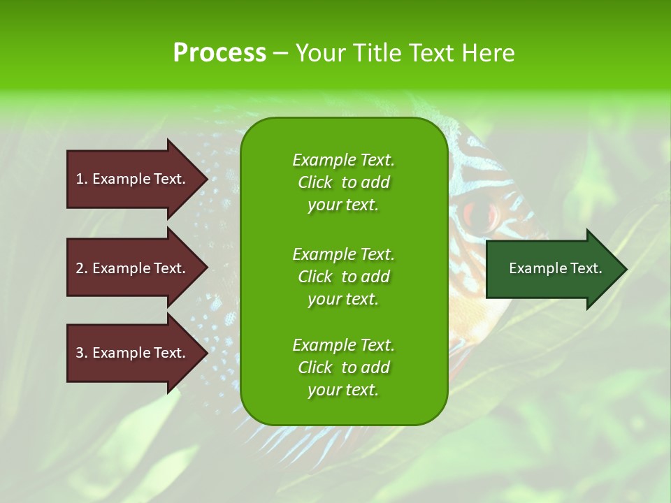 Round Tropical Nature PowerPoint Template
