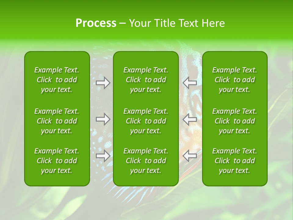 Round Tropical Nature PowerPoint Template