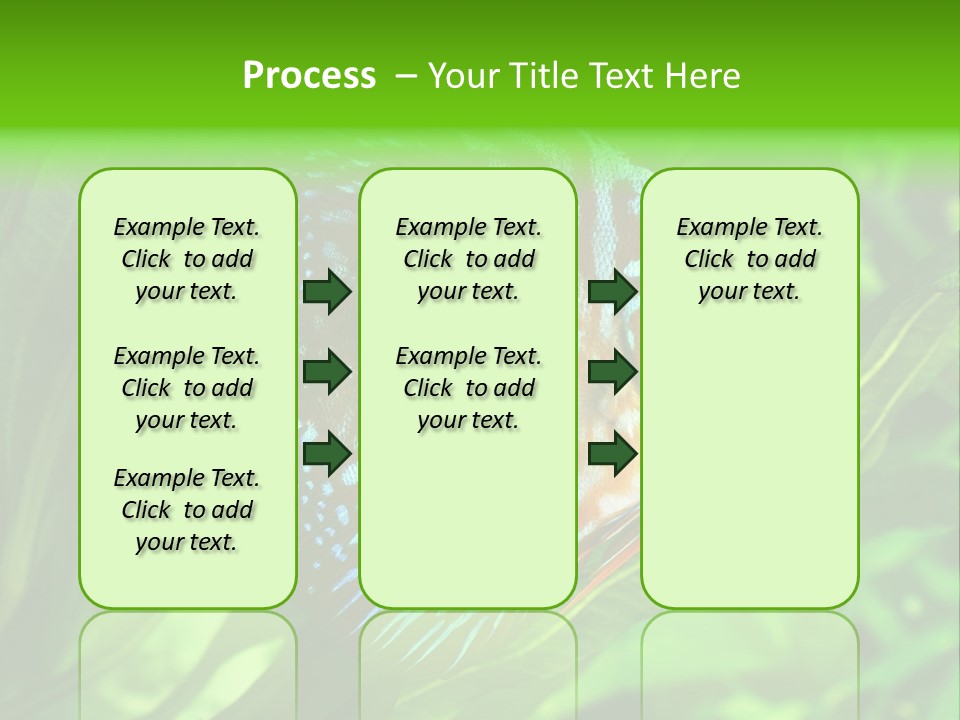 Round Tropical Nature PowerPoint Template