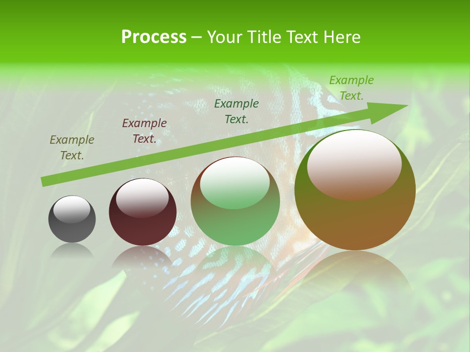 Round Tropical Nature PowerPoint Template