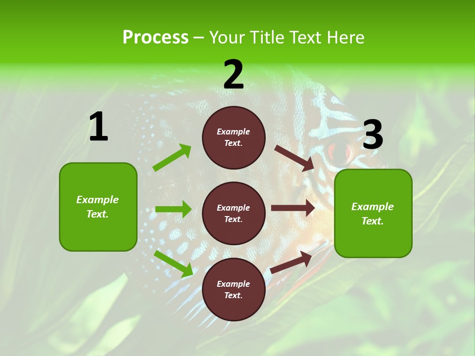 Round Tropical Nature PowerPoint Template