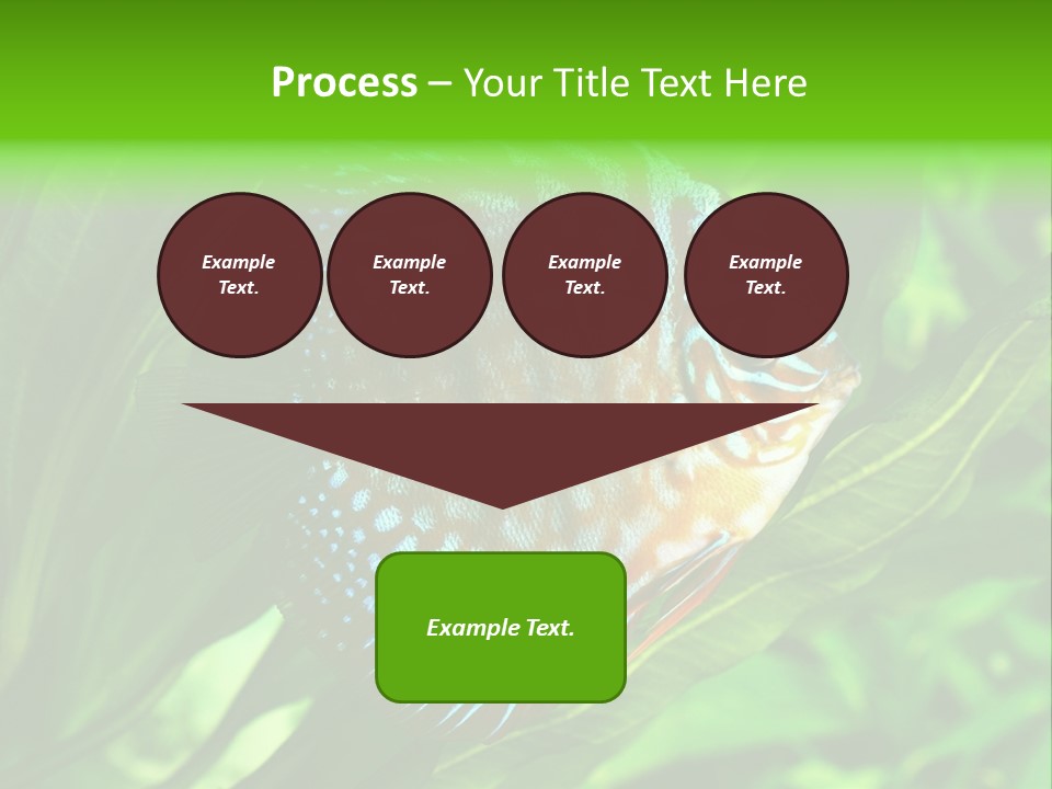 Round Tropical Nature PowerPoint Template